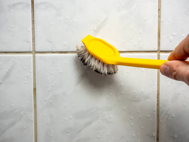 Professional Mold Remediation in Country Club Hills, IL
