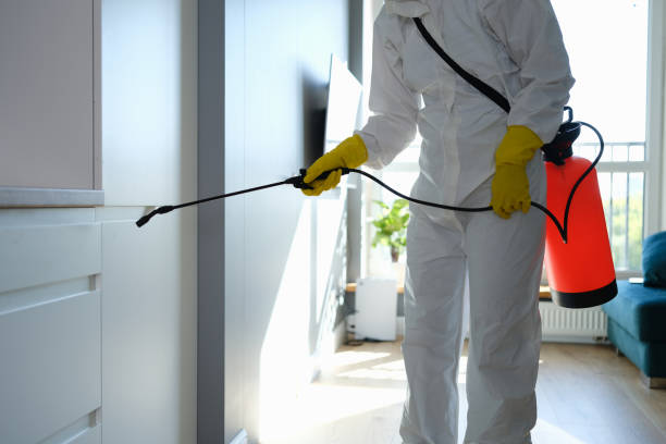 Best Residential Mold Remediation in Country Club Hls, IL